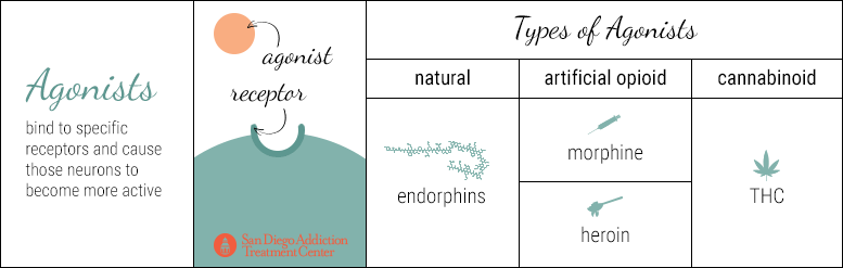 agonists 