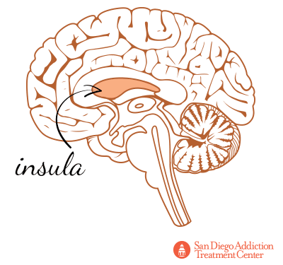 cocaine and insula