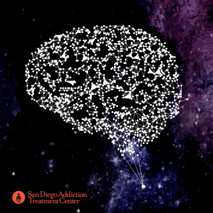 brain 