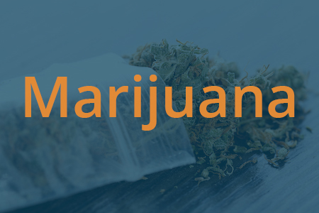 Marijuana