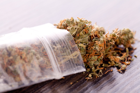 Marijuana