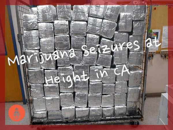 stacks of marijuana in boxes seized by police